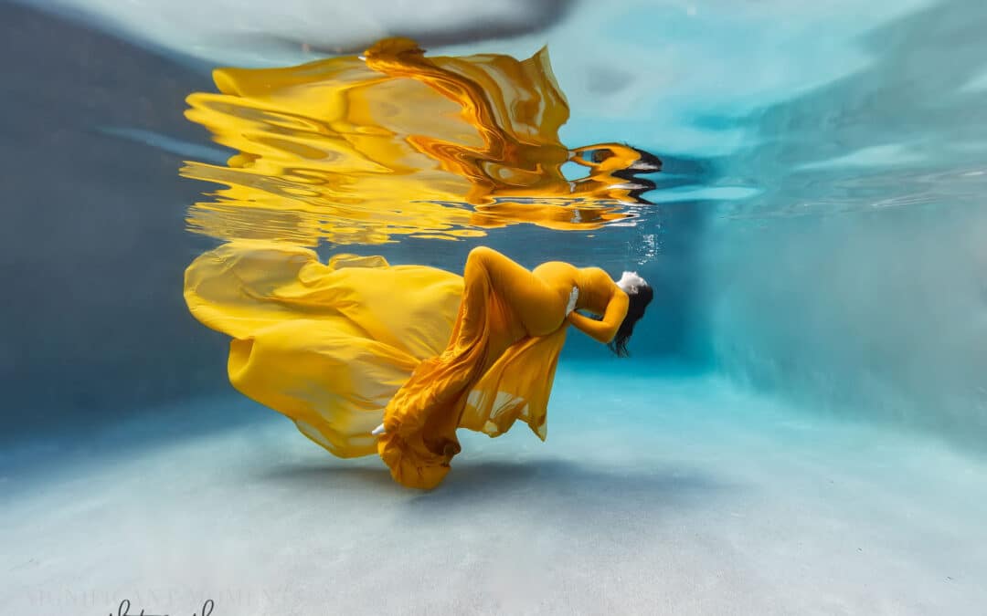 Underwater Photographer’s Do it Best!