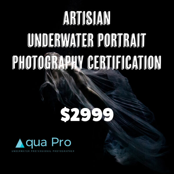 Underwater Portrait Photographer Certification