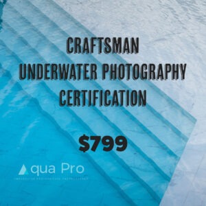 Underwater Photography Certification