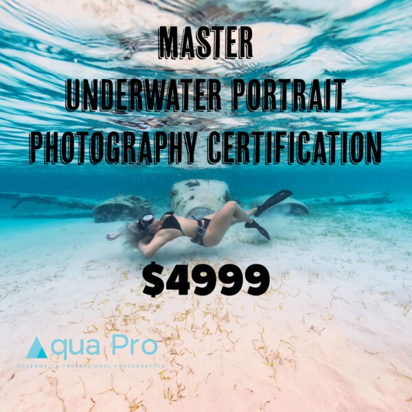 Underwater Photography Certification